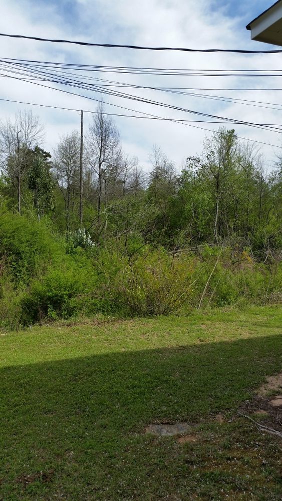 646 N US Highway 231, Ozark, AL 36360